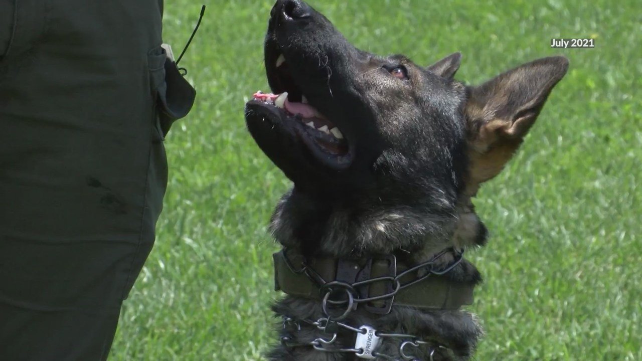 Santa Fe Police K9 that is the subject of a case under separate investigation