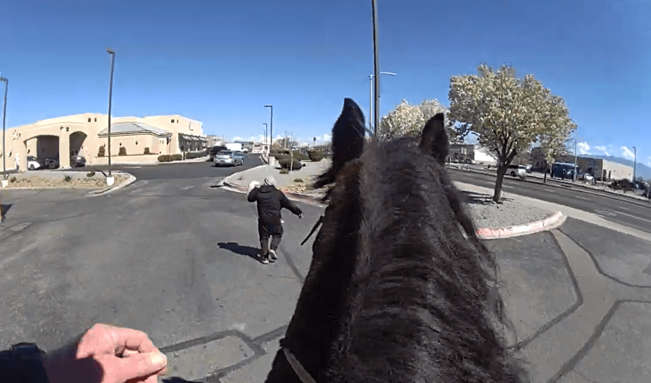 Accused shopkeeper leads Albuquerque police on horse chase