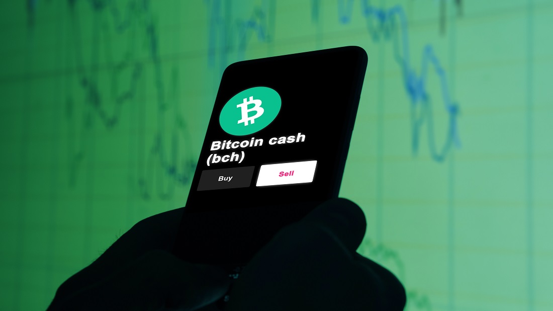 Bitcoin Cash halving is about to happen;  BCH price hike in 2021